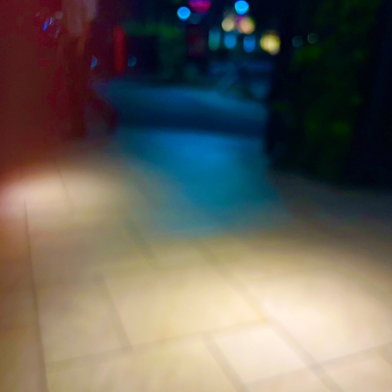 藤井旬汰