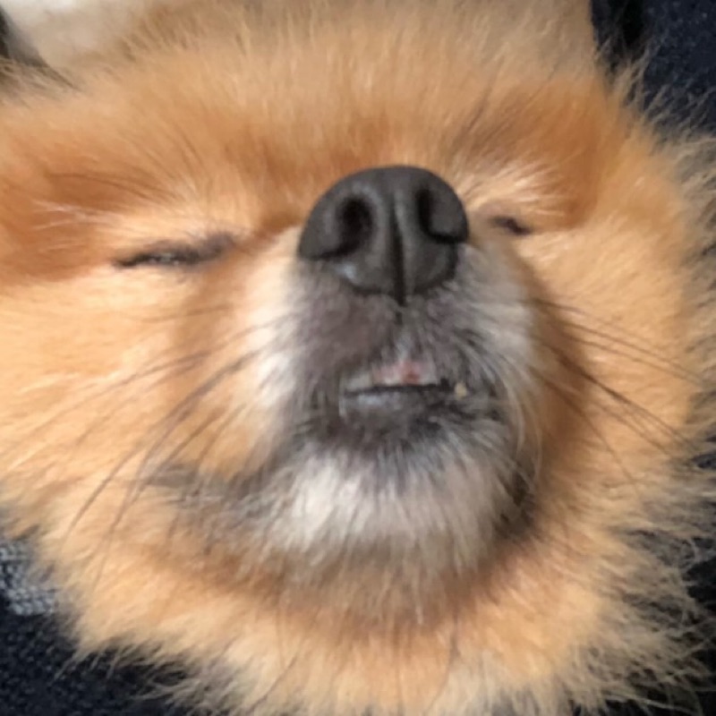 あのん