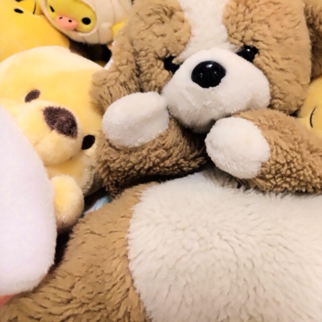 まみこ