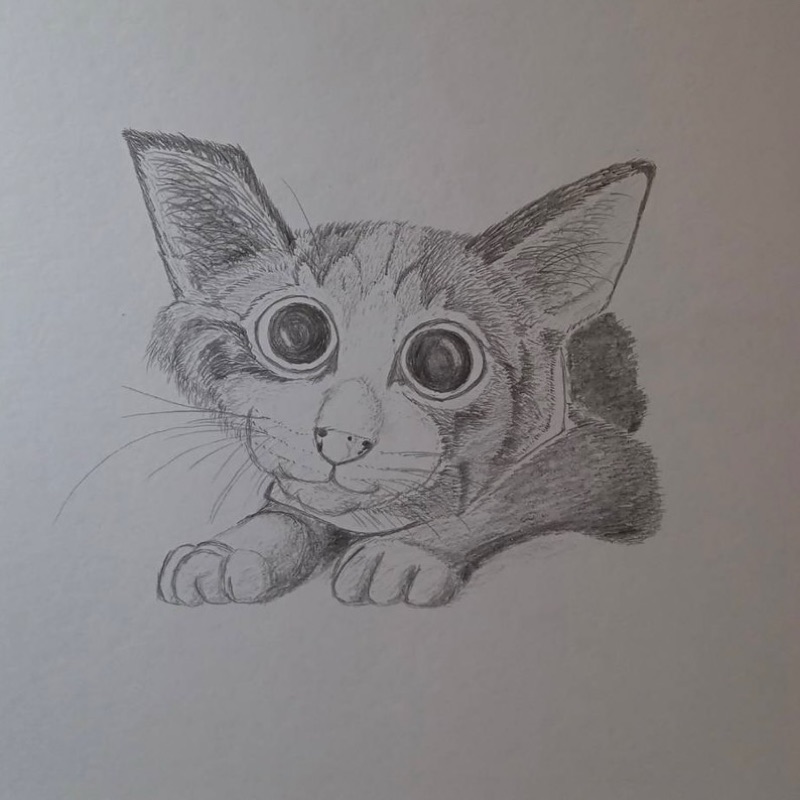 みかん