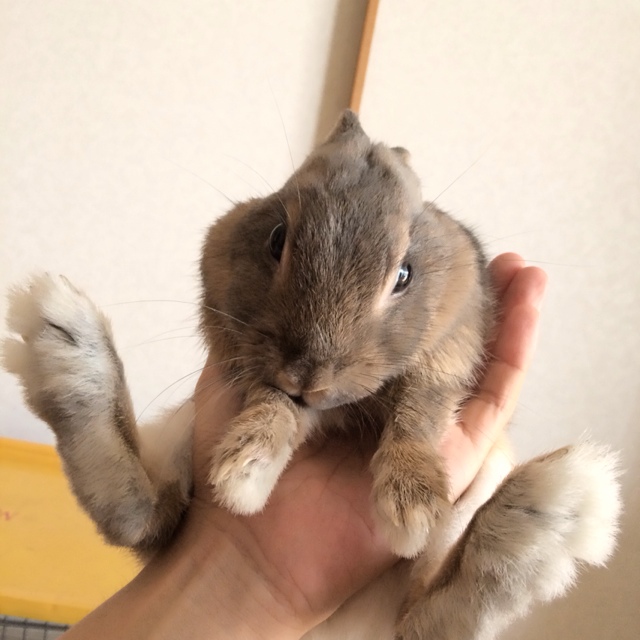 かな