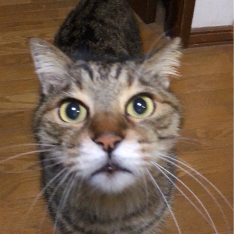 ふな
