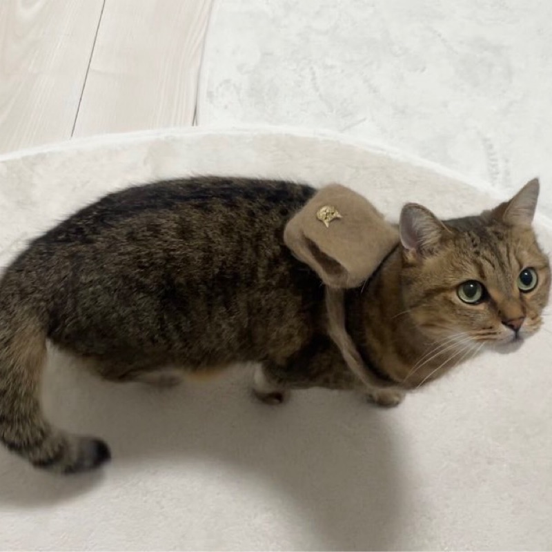 か