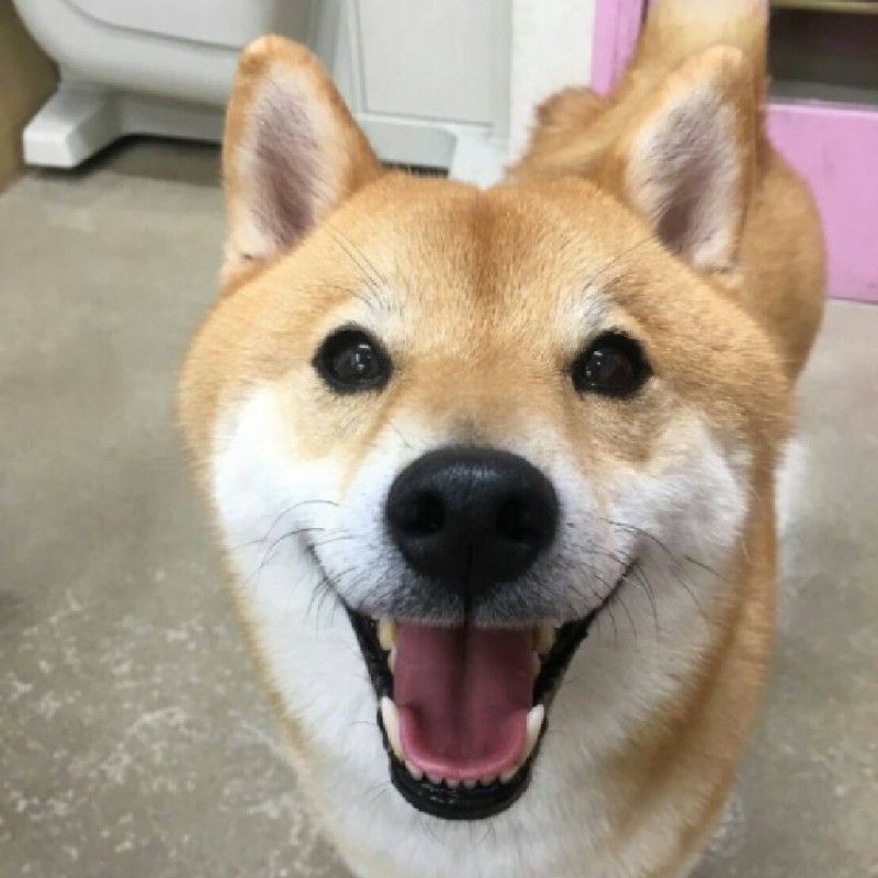 MA