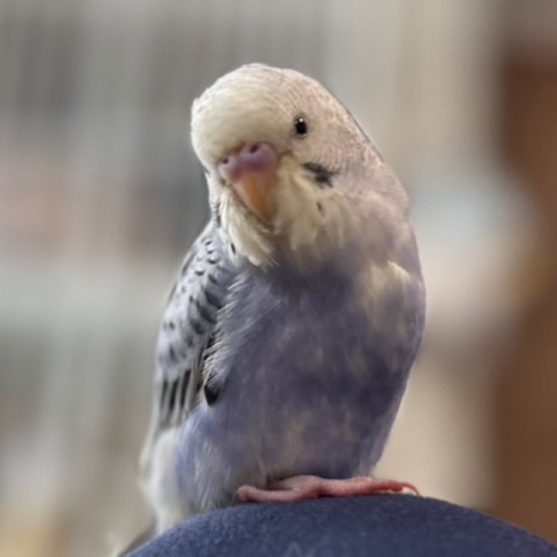 みち