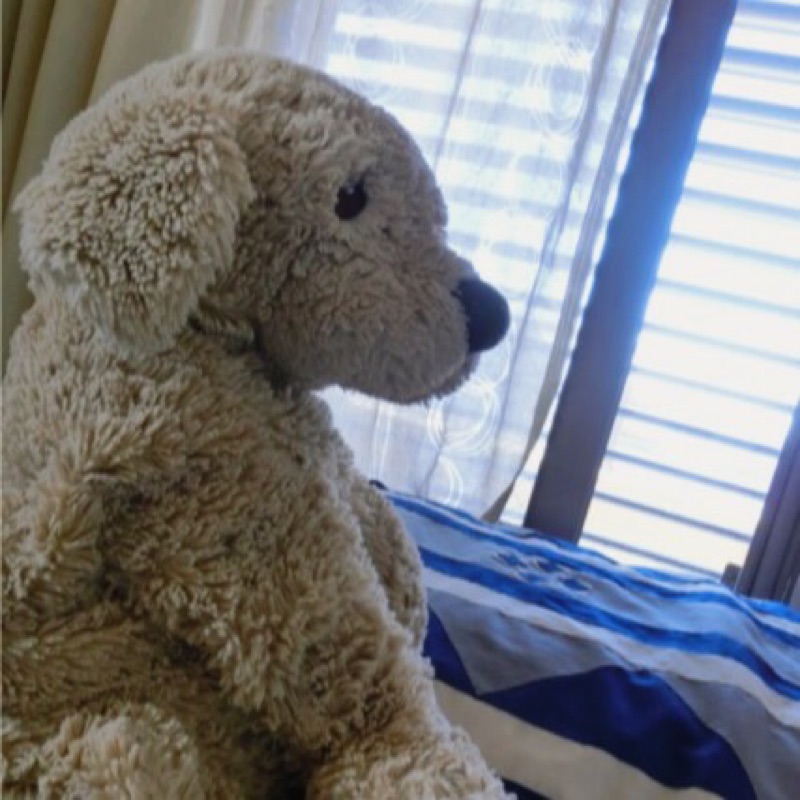 あんず