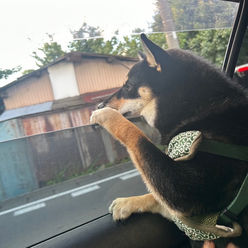 安田優斗