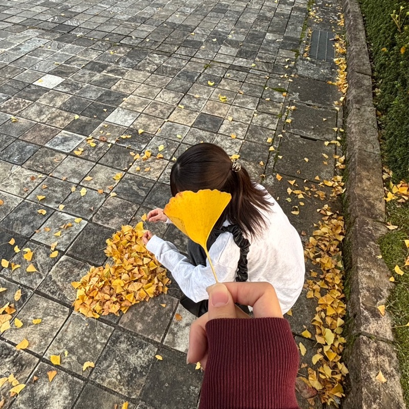才記千尋