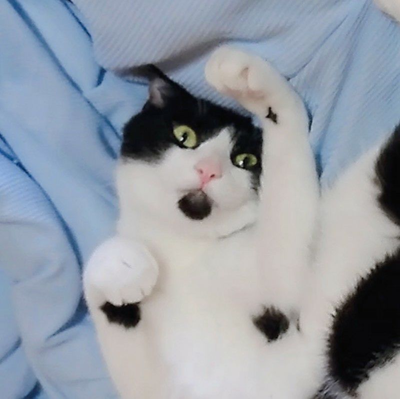 ごえ