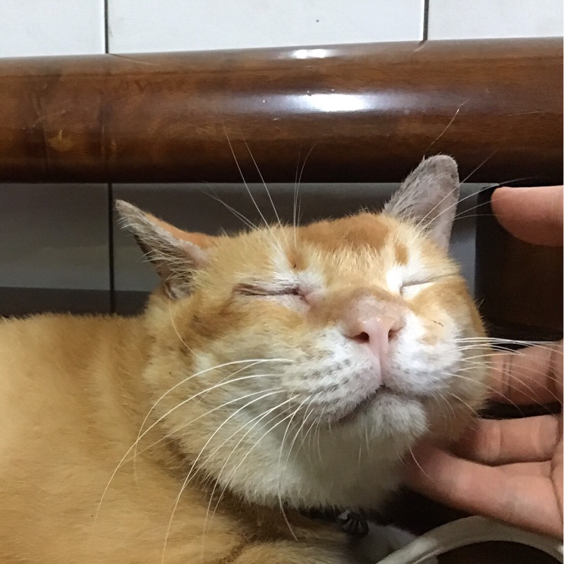 林 宏叡