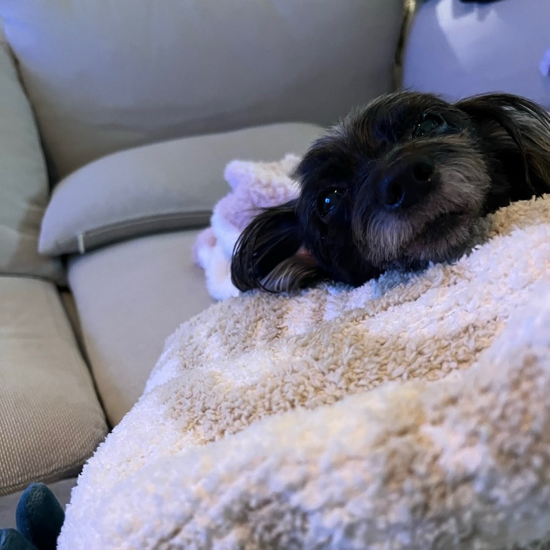 yuki