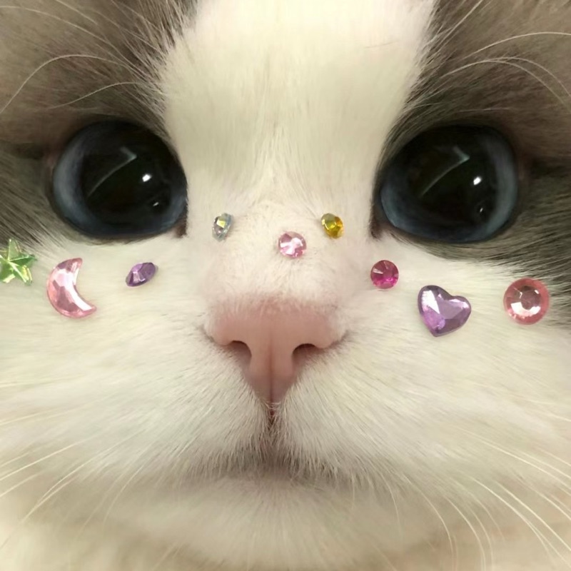 武智未衣菜