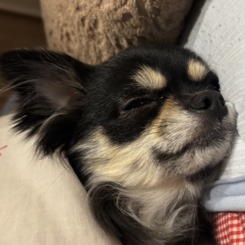 佐々木 美良咲