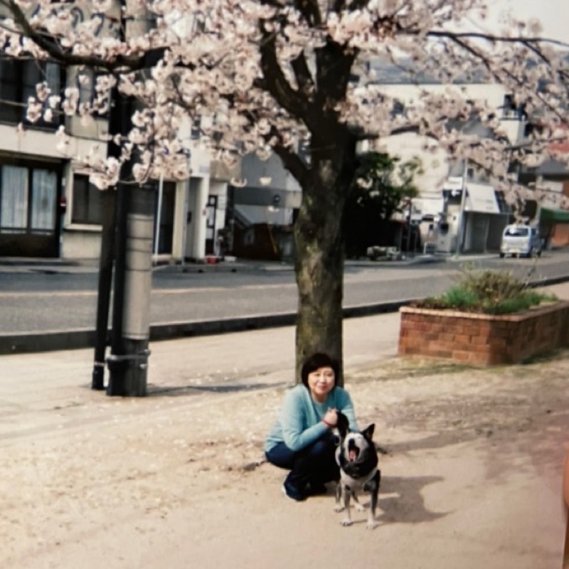 たまごん