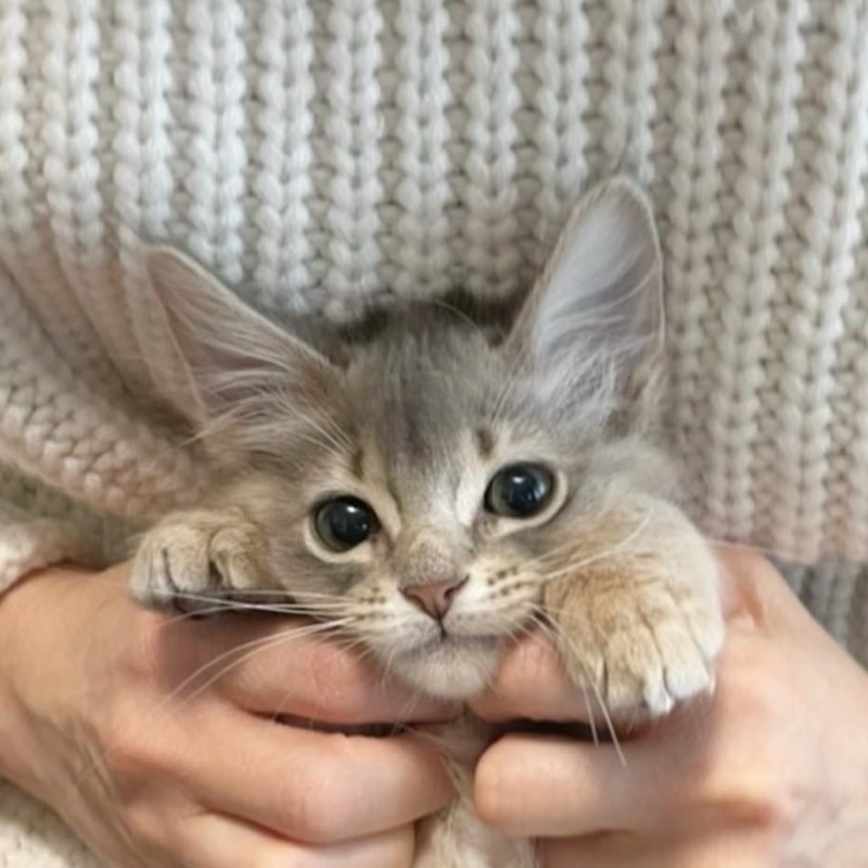 竹中　広美