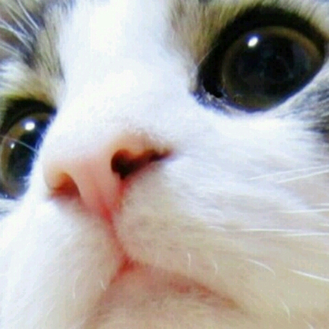 ユキ