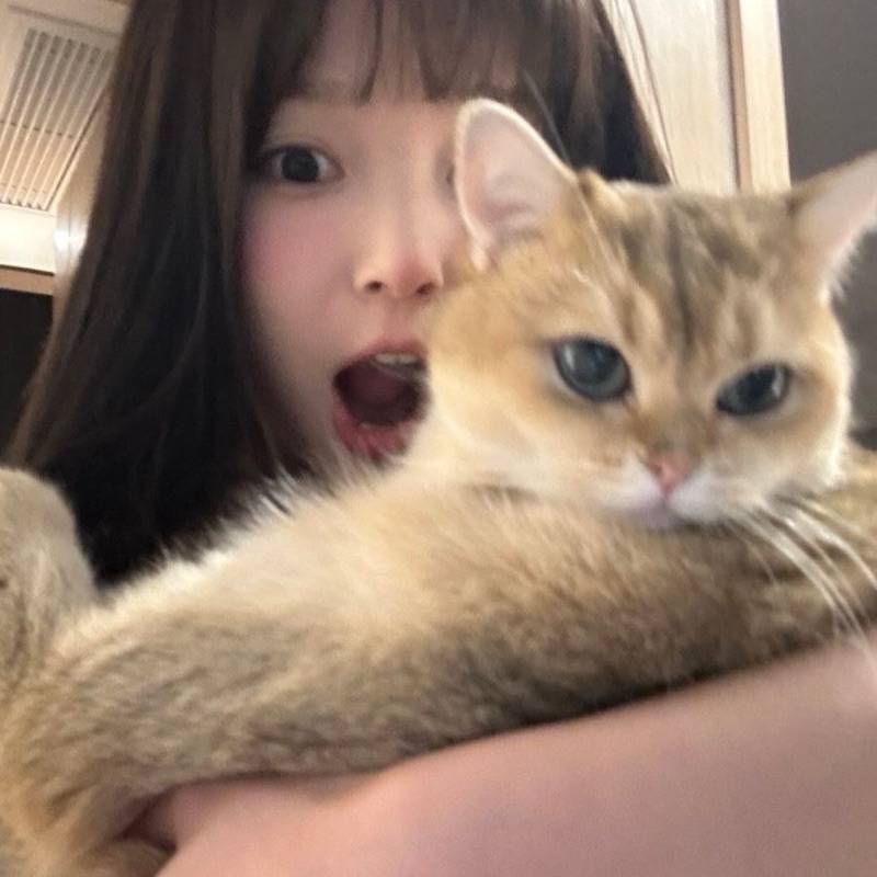 大前 寿々菜