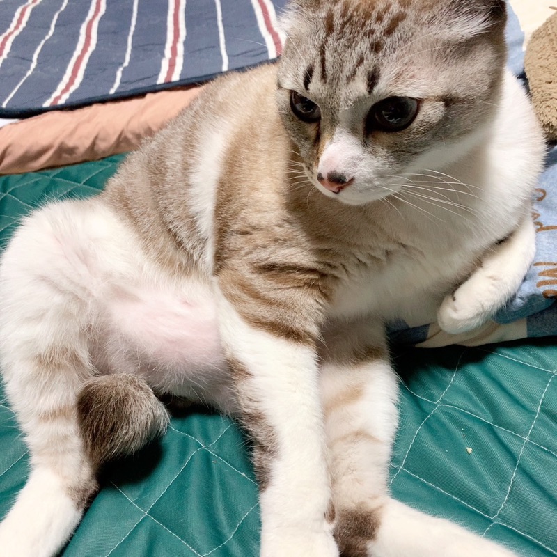 ゆかり