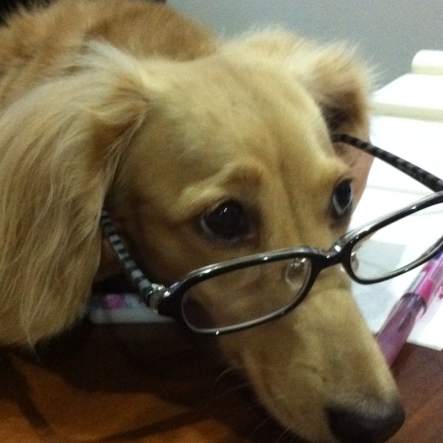 kazu