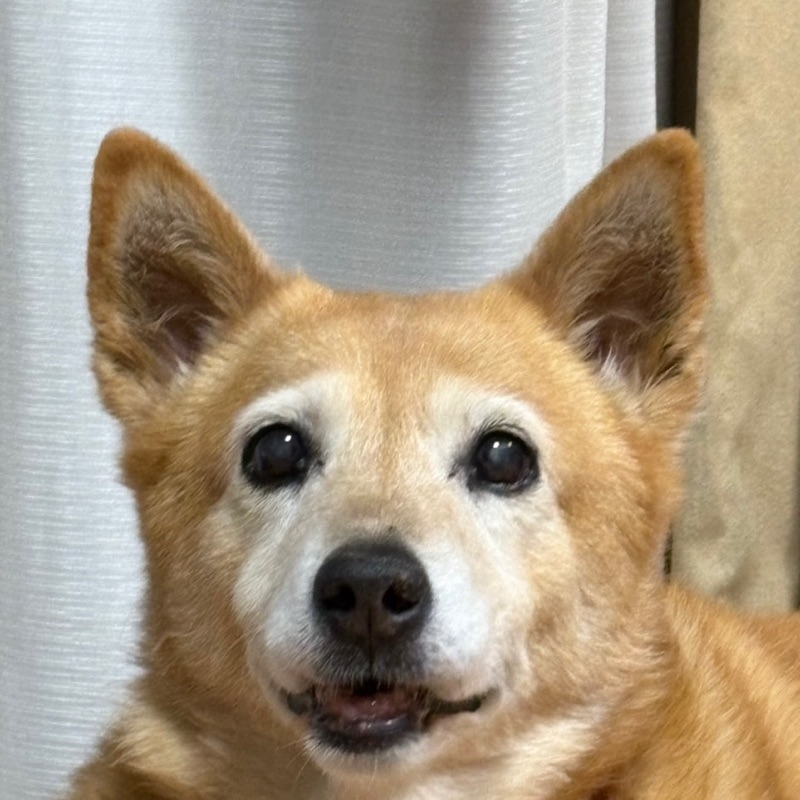 にこ