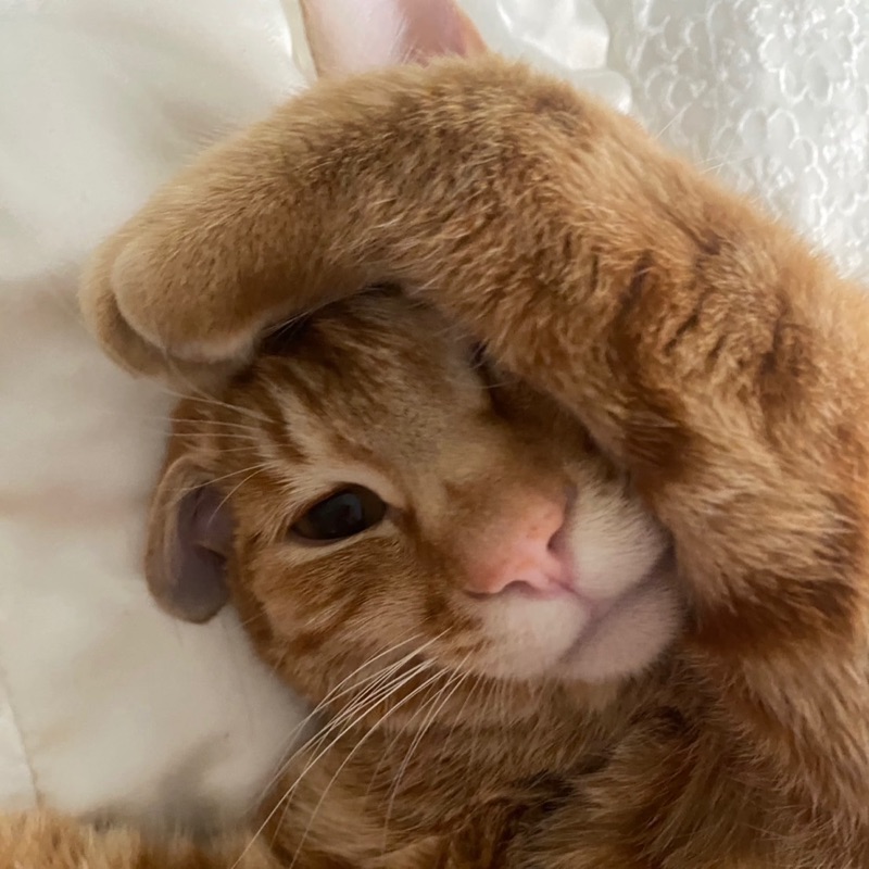 かつ
