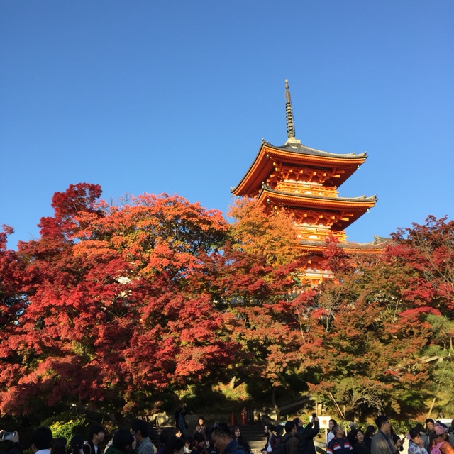 川原由利