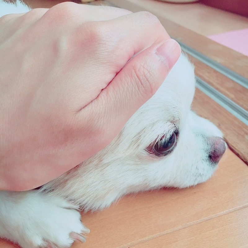 古田詩唯奈