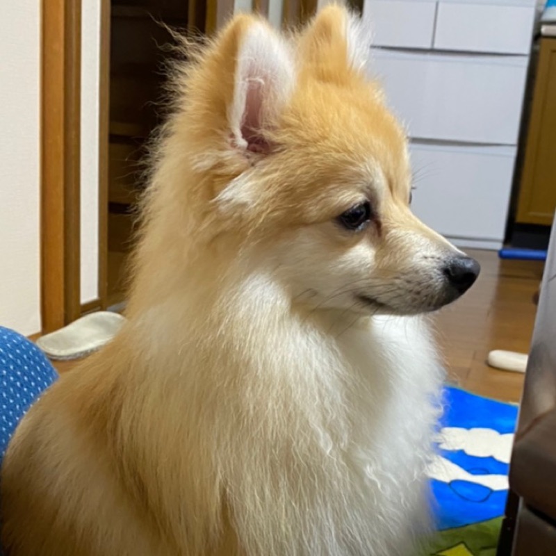 太田裕治