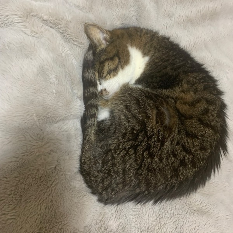有賀洸輔