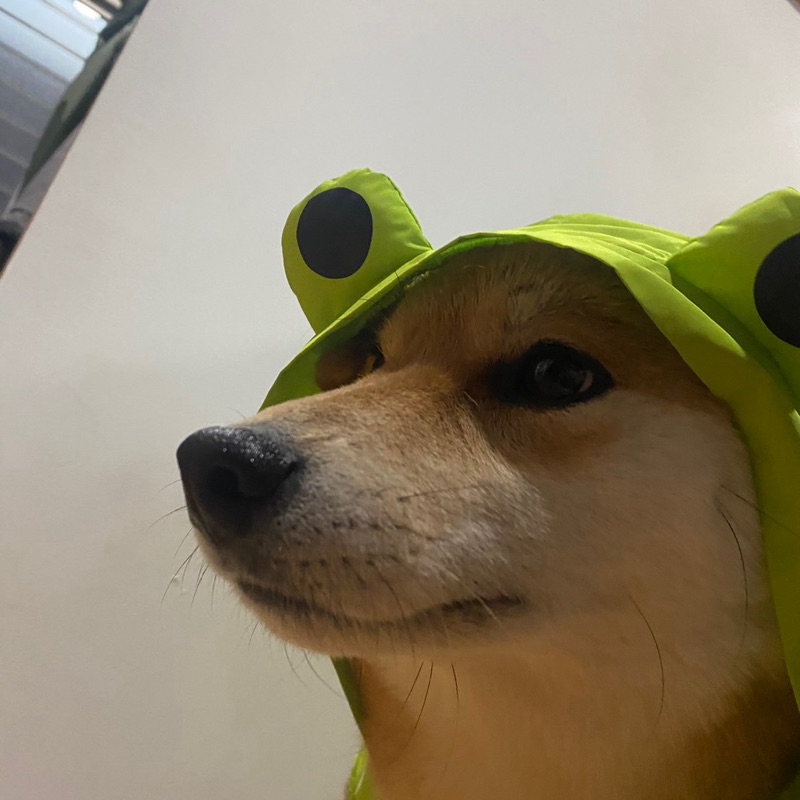 Ryo