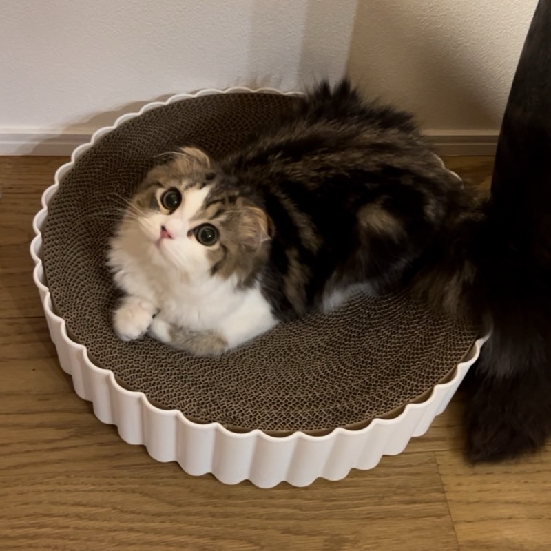 か