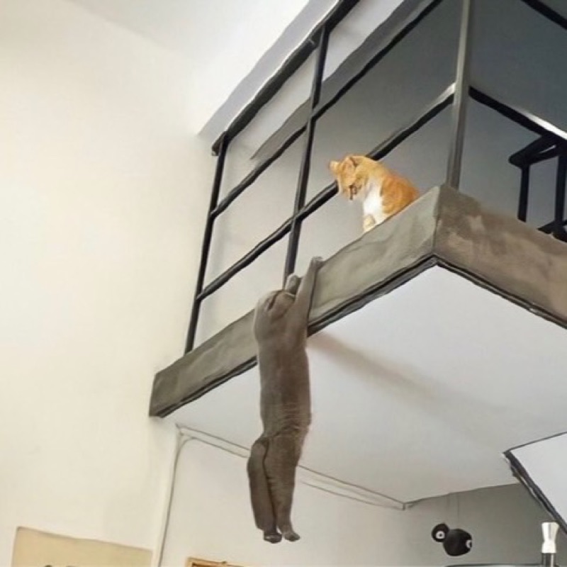 。