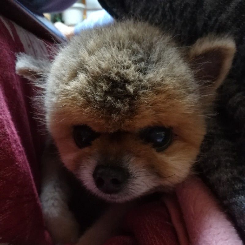 なち