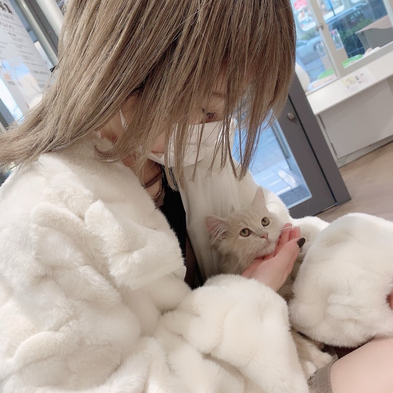 ちゃんこ