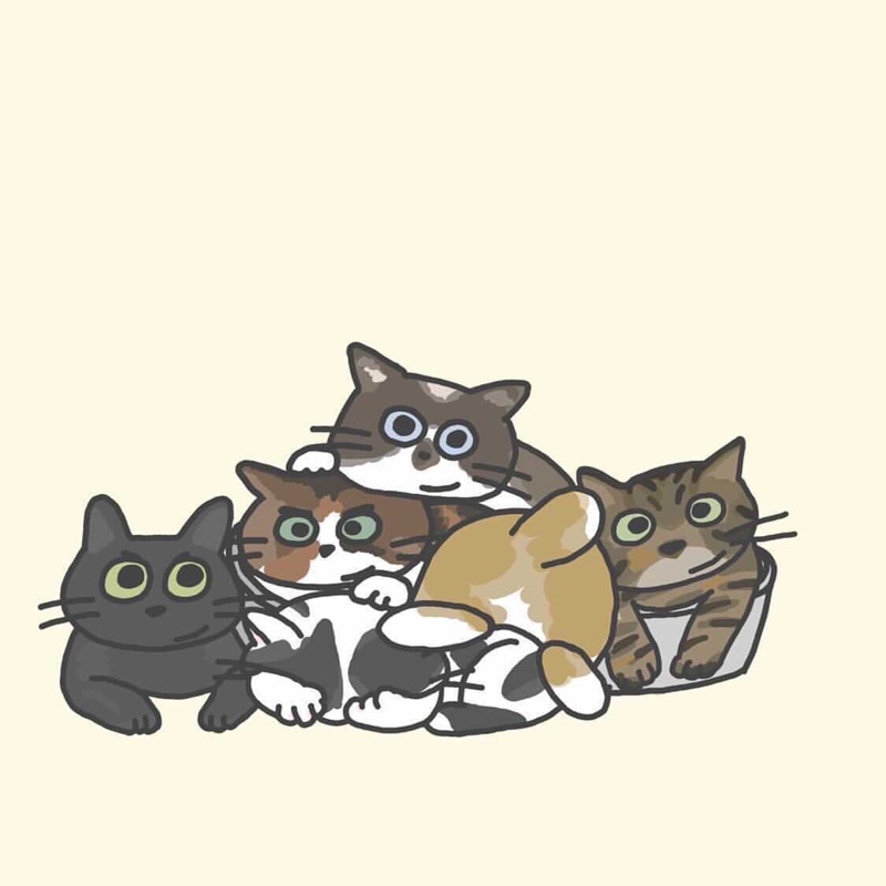 ゆき