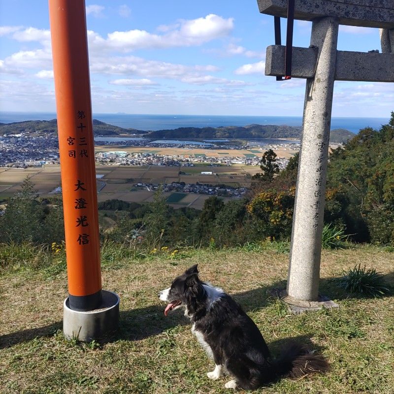 永井　博子