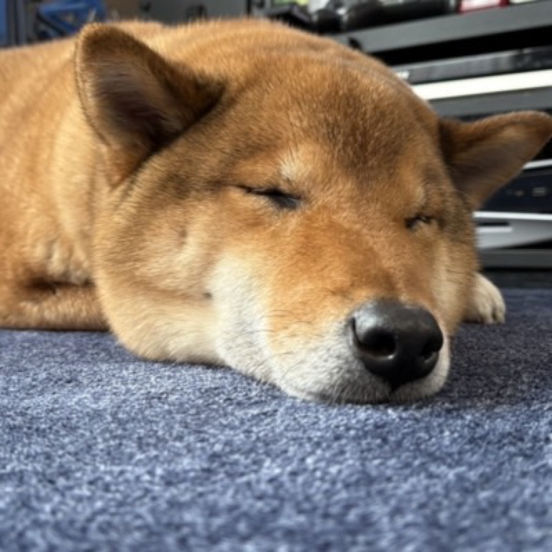塙彪和