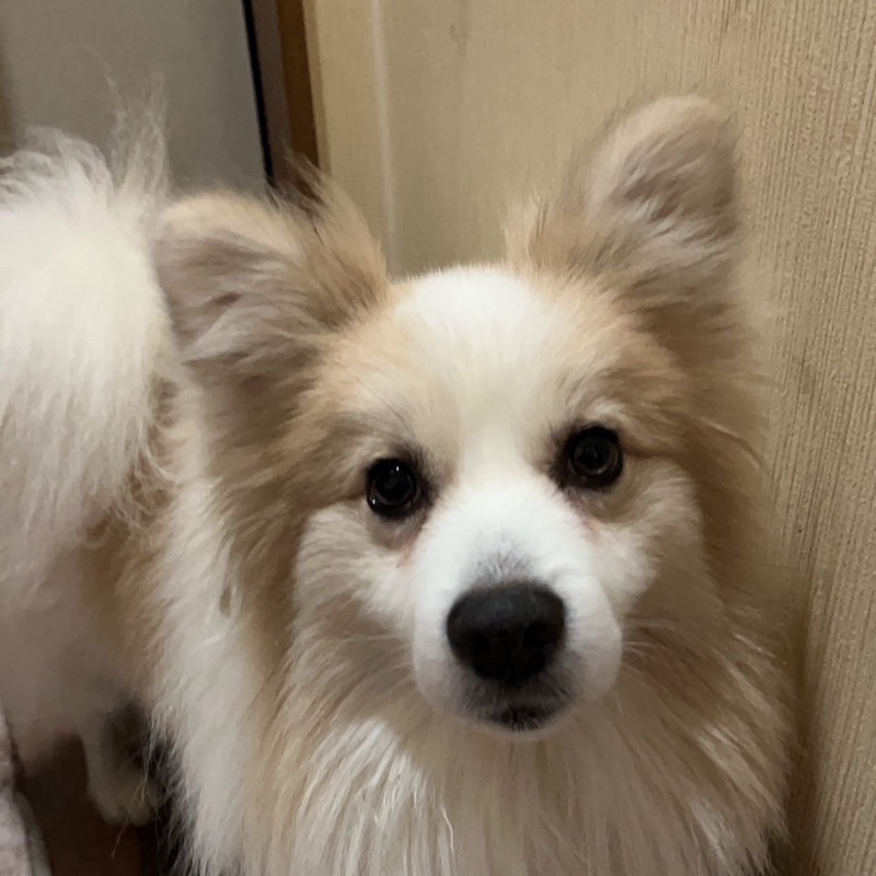 大野エバ