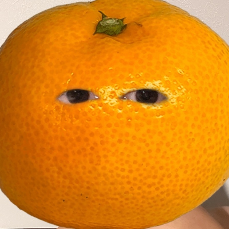 望月琉世