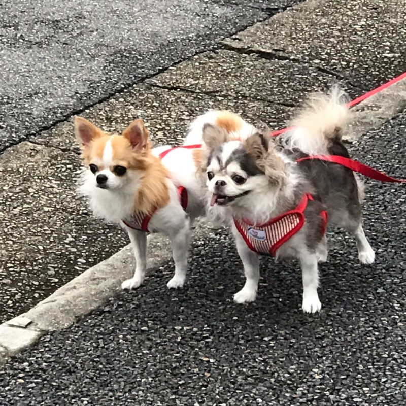 南川　孔孝