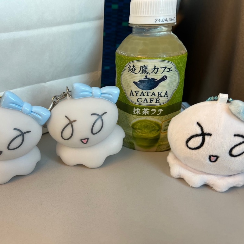 加納 知季