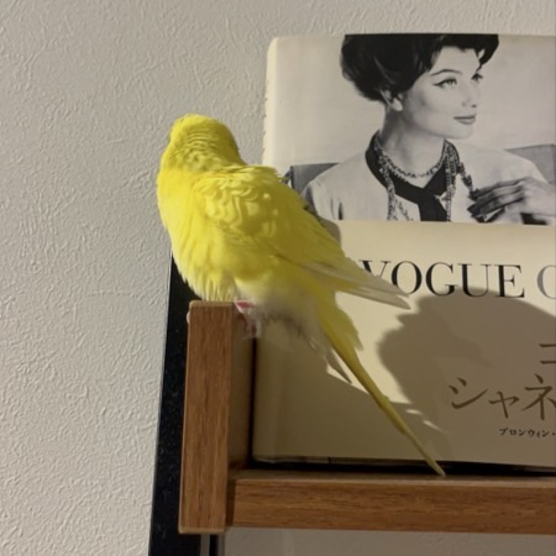 もえ