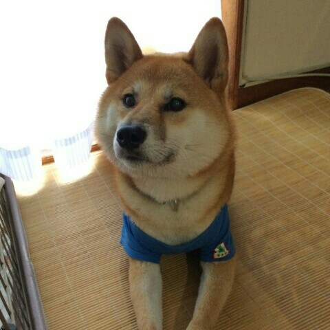 丸田美幸