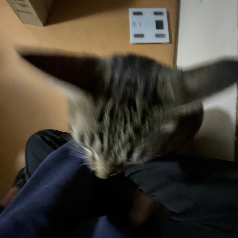 な