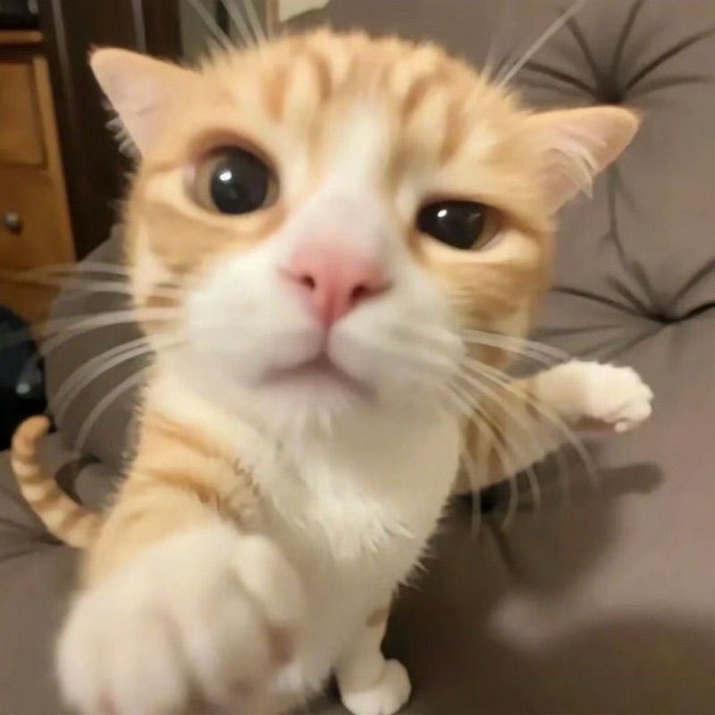 春名　萌美