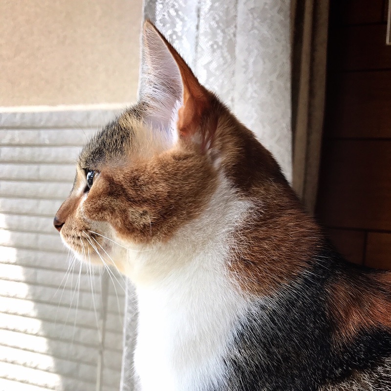 yuka