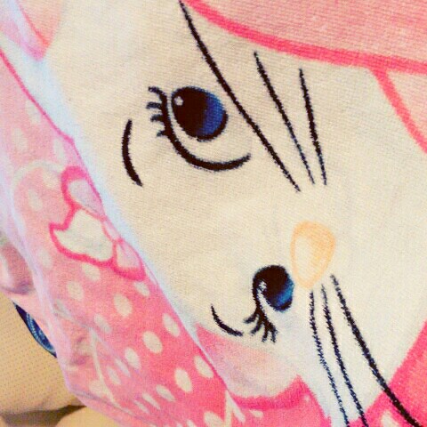 ねこねこ