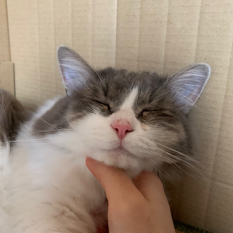 ゆの
