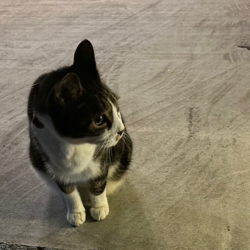 なおと