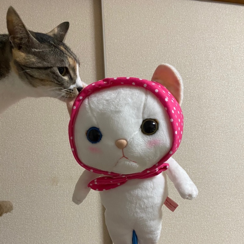 ビビまる